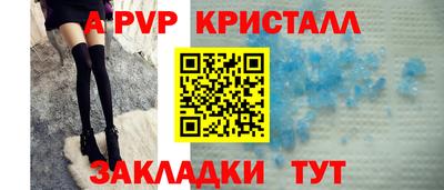 стаф Гудермес