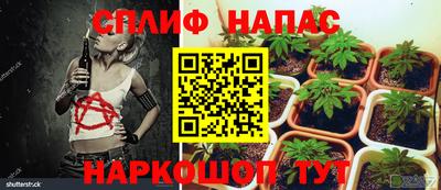 гидропоника Гулькевичи